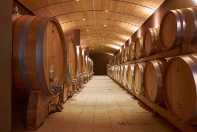 Imagen principal de Luciano Arduini (Valpolicella, Amarone, Valpolicella Clásica)