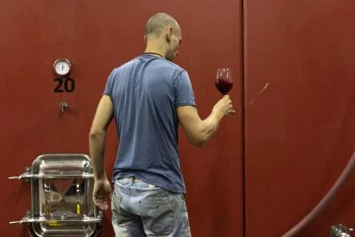 Immagine principale di AMPELEIA (Maremma)