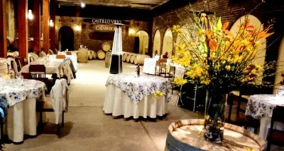 Imagen principal de Bodegas Castillo Viejo