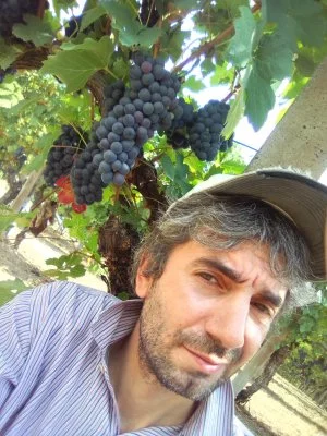 Main image of Alessandro Mo Winery (Langhe, Moscato d'Asti, Barbaresco, Hills of Asti)