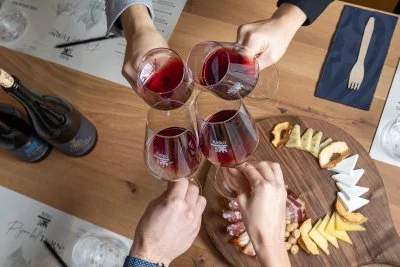 Main image of Winery Krško (Posavje, Dolenjska, Bizeljsko Sremic, Lower Sava Valley)