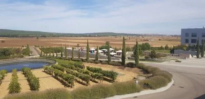 Immagine principale di Bodegas Valbusenda (Toro, Castiglia e León)