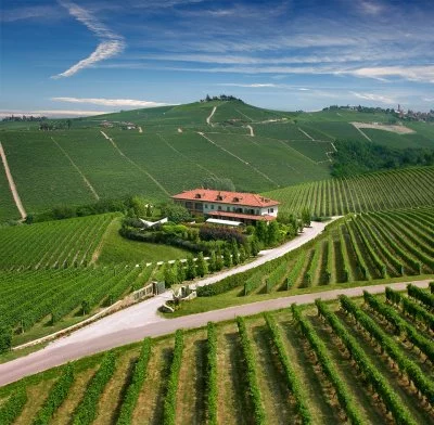 Main image of Tenuta Barac (Langhe, Moscato d'Asti, Barbaresco)