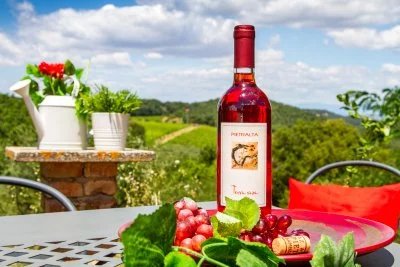 Immagine principale di Pietralta (Chianti, Val d'Elsa)