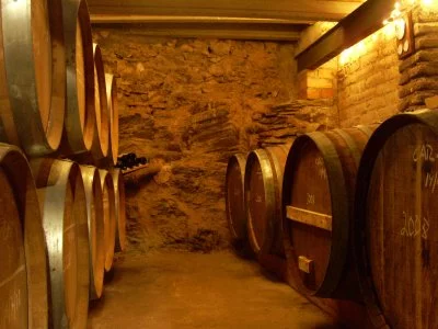 Imagen principal de Celler Devinssi (Priorat, Cataluña)