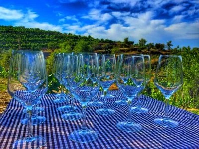 Main image of Celler Devinssi (Priorat, Catalonia)