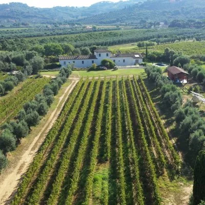 Immagine principale di Tenuta Campo al Signore (Bolgheri, Maremma, Costa degli Etruschi)