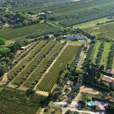 Imagen principal de Tenuta Campo al Signore (Bolgheri, Maremma, Costa Etrusca)