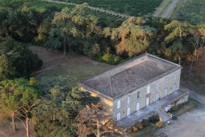Image principale de Chateau de Tauziès (Sud-Ouest, Gaillac, Garonne, Tarn)