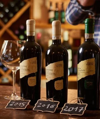 Immagine principale di Az. Agr. Vigna 800 di Gianfranco Elampini (Valpolicella, Amarone, Valpolicella Classica)