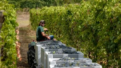 Immagine principale di Marchesi di Ravarino (Lambrusco, Food Valley)