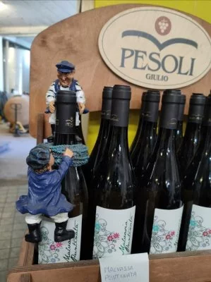 Immagine principale di Azienda Agricola Pesoli Giulio