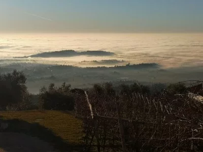 Main image of CAVARENA (Valpolicella, Amarone, Valpolicella Classica)
