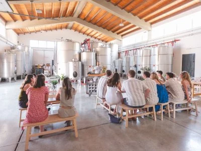 Hauptbild von Cantina Quattrocieli (Belice-Tal, Alcamo-Hügel)