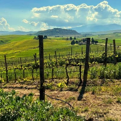 Immagine principale di Poggio Stenti (Montalcino, Val d'Orcia, Crete Senesi)