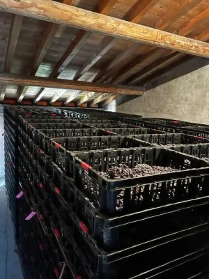 Immagine principale di La Romiglia (Valpolicella, Amarone, Valpantena)
