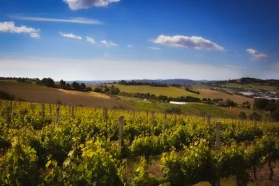 Imagen principal de Cantina Strologo