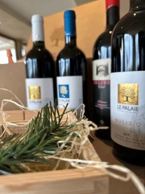 Main image of Le Palaie (Chianti, Hills of Pisa, Valdera)