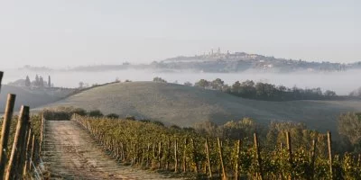 Main image of Mormoraia (Val d'Elsa)