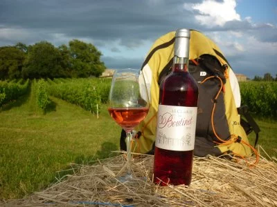 Main image of Chateau Boutinet (Bordeaux)