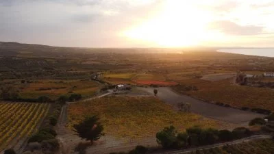 Immagine principale di Vini TraMonti (Romangia)