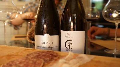 Hauptbild von Cantina Riboli (Langhe, Moscato d'Asti, Alta Langa, Hügel von Asti)