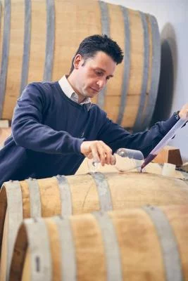 Main image of Siridia (Valpolicella, Amarone, Valpolicella Classica)