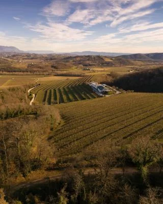 Imagen principal de la viarte societa' agricola semplice (Colli Orientali)