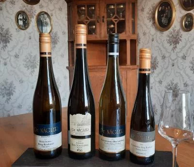 Immagine principale di Weingut Dr. Nägler (Nahe, Rheingau)