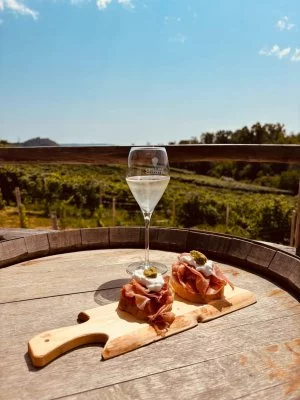 Immagine principale di Il Casale Wine Experience (Valdobbiadene, Prosecco, Cartizze)