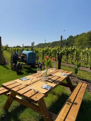 Imagen principal de La Comissaria (Valdobbiadene, Prosecco)