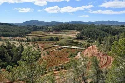 Immagine principale di Coca i Fitó (Priorat, Catalonia, Montsant)