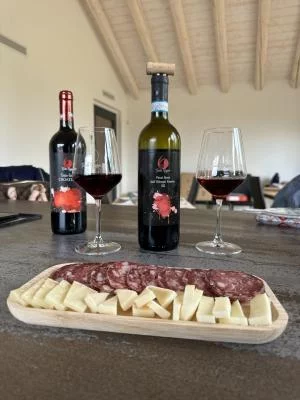 Main image of Tenuta Regisole (Oltrepò Pavese)