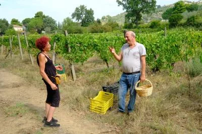 Hauptbild von Casebianche Azienda Agricola
