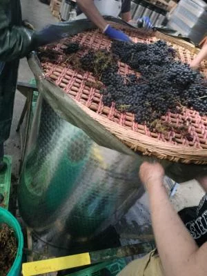 Imagen principal de Cave du Rouge-Gorge (Ginebra)