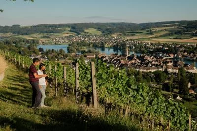 Immagine principale di Weingut Florin (Svizzera tedesca, Sciaffusa, Klettgau, Stein am Rhein)