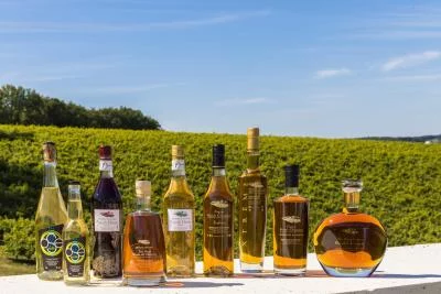 Image principale de BERNARD GAUTHIER ET FILS EARL (Cognac)