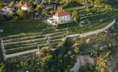 Immagine principale di Vinařství Jabloňka (Boemia)