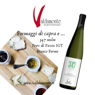 Imagen principal de Alberto Fiori - Valdamonte vini (Oltrepò Pavese)