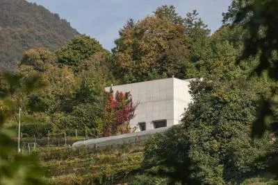 Imagen principal de Azienda Agricola Bianchi (Tesino, Sottoceneri)