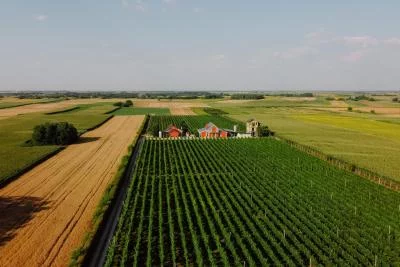 Main image of Vinarija Dragić