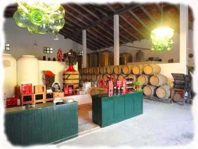 Hauptbild von BODEGAS RIVERO