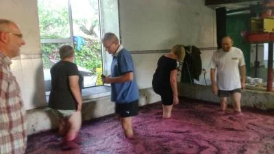 Main image of Quinta dos Varais