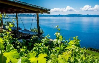 Immagine principale di Boutique winery Vicelic (Sabbioncello, Dalmazia, Dalmazia Meridionale)