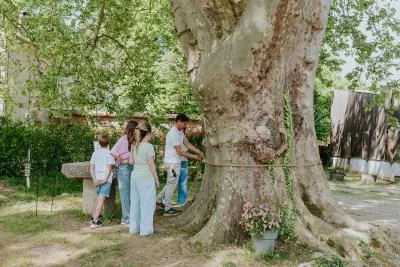 Immagine principale di Domaine La Gayolle (Provenza, Var en Provence)