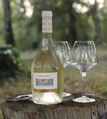 Main image of Domaine La Gayolle (Provence, Var en Provence)