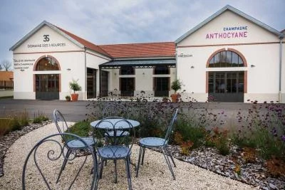 Image principale de Champagne Anthocyane (Champagne)