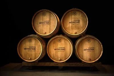 Imagen principal de Champagne Anthocyane (Champán)