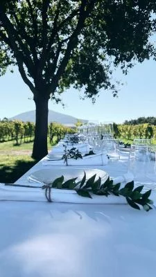 Immagine principale di Podere45