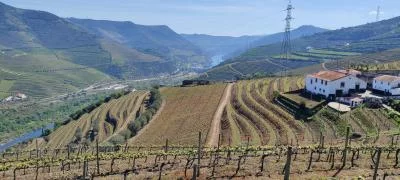 Main image of Quinta dos POÇOS Winery
